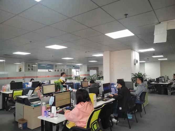 信息技术赋能，金黑网络的服务精进之道